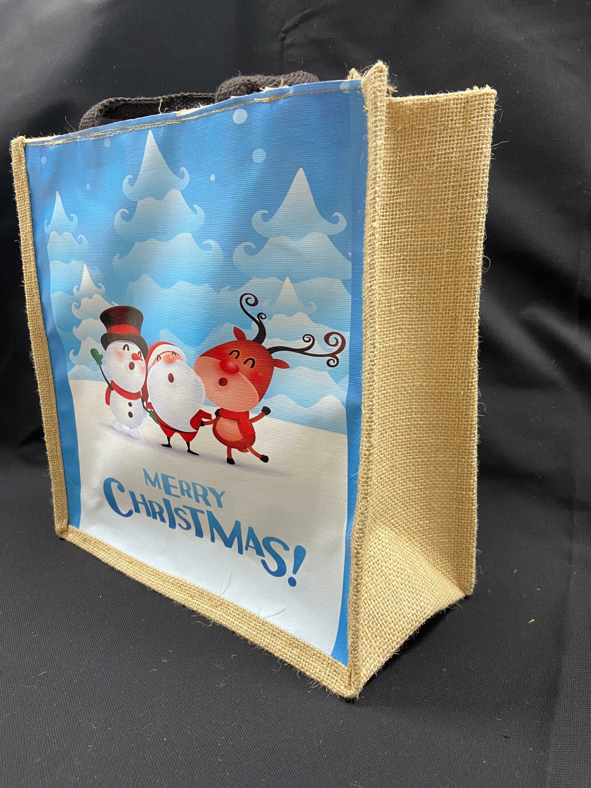 Gift Bag -G 10